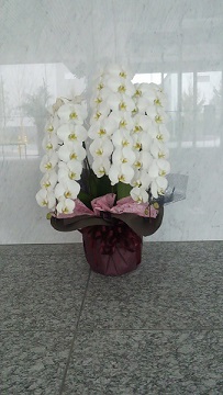 DCIM0173.JPG