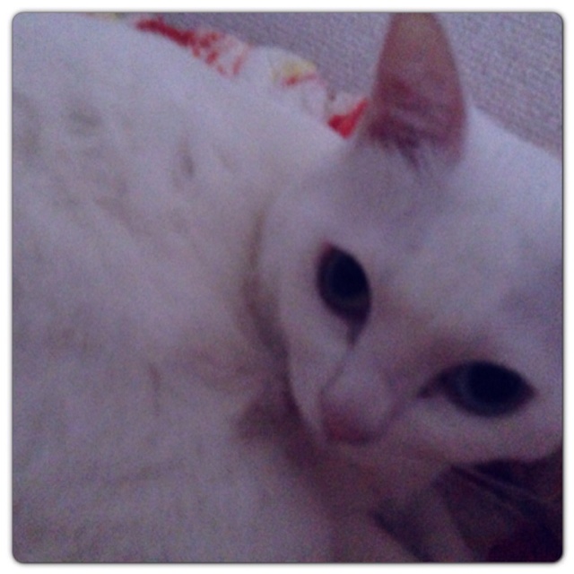 rblog-20130531173112-02.jpg