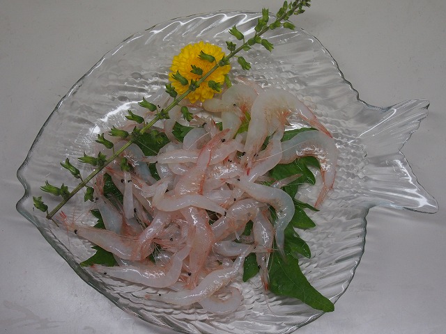 P4150037.jpg