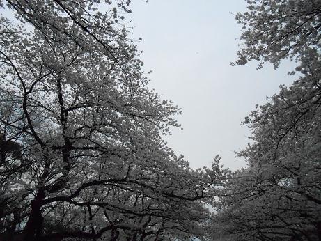 DSCN2433.jpg