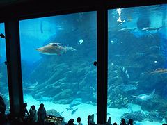 マリンワールド海ノ中道