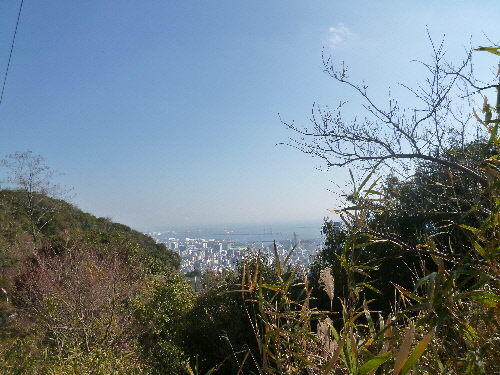 P1080533(1).JPG