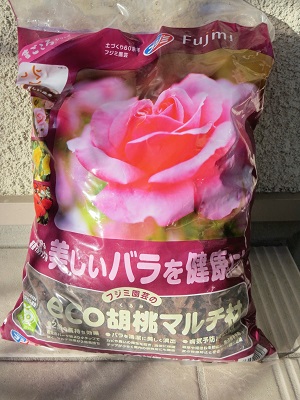 IMG_2984_1.jpg