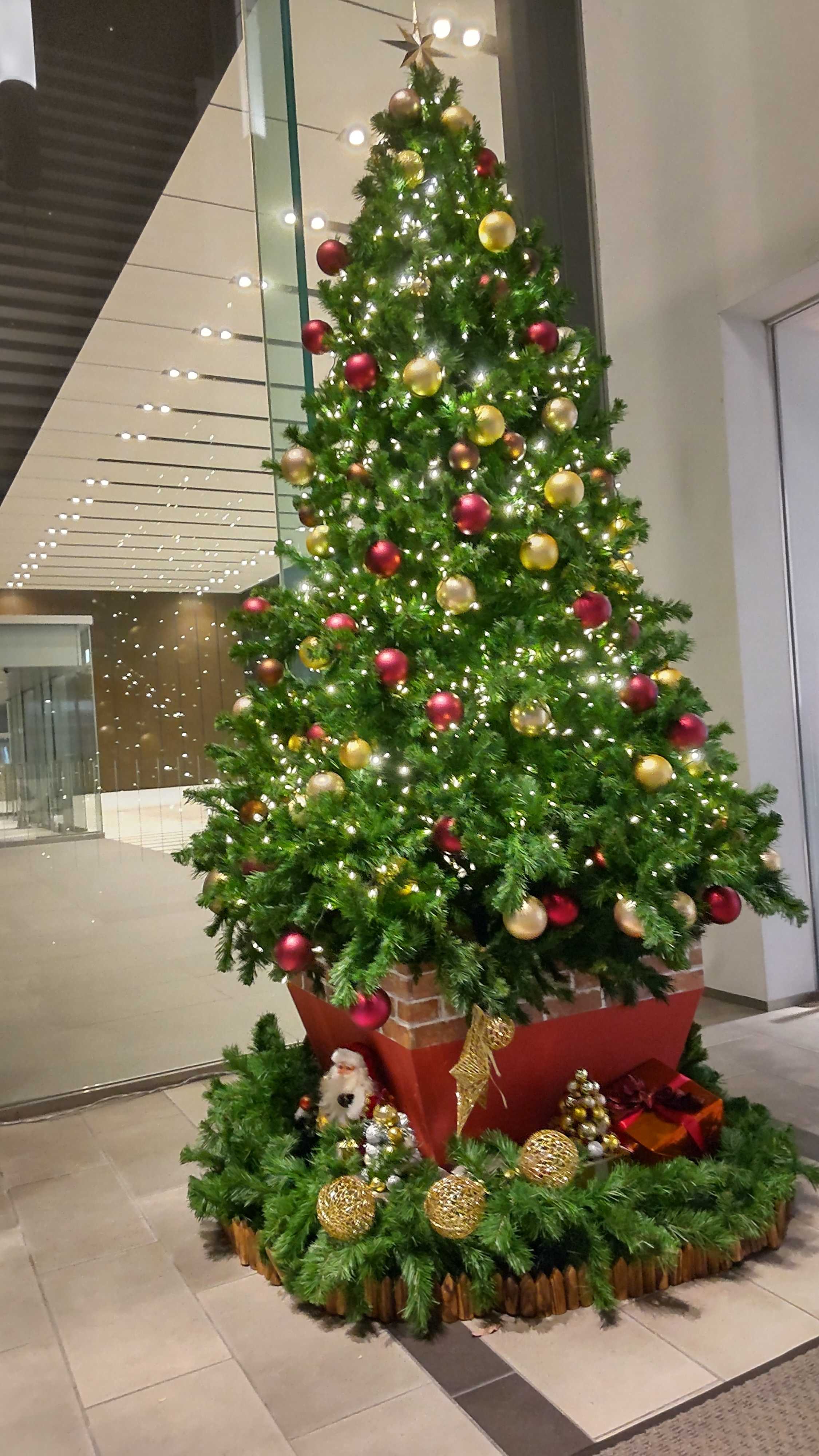 クリスマスツリーたくさん | 初心忘るべからず - 楽天ブログ
