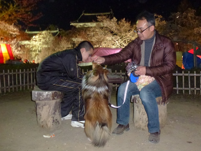 P1020408 - コピー.JPG