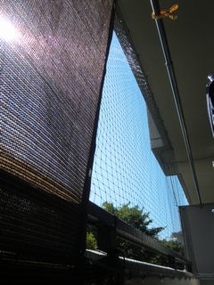 CIMG3165.JPG