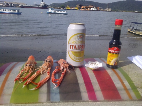 8_手長エビ食する.jpg