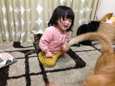 1118