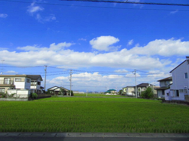IMG_7046.JPG