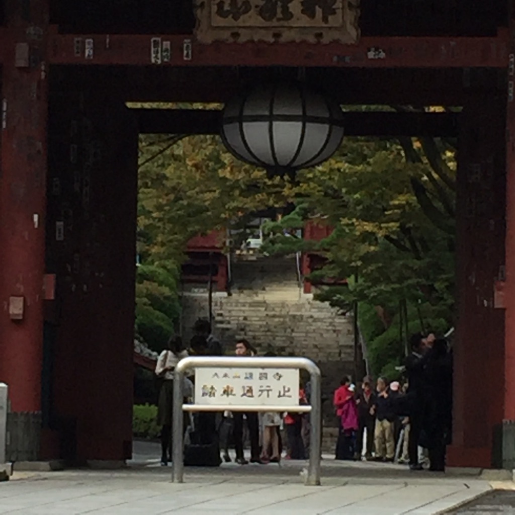 護国寺山門 2.jpg