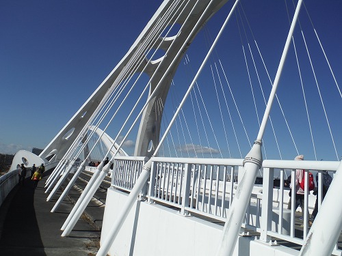 豊田大橋