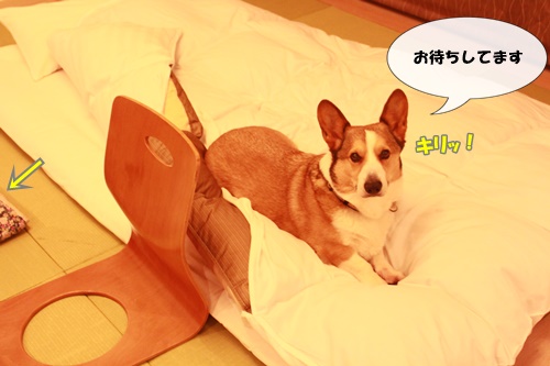 IMG010919.JPG