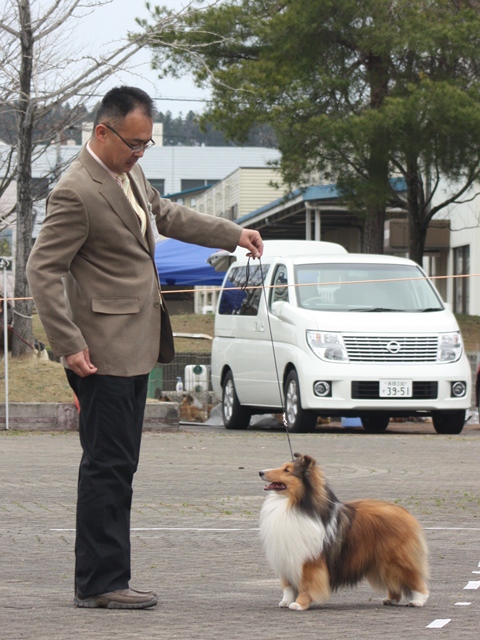 IMG_1315 - コピー.JPG