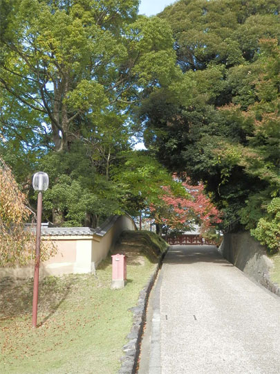nara2012110418.jpg