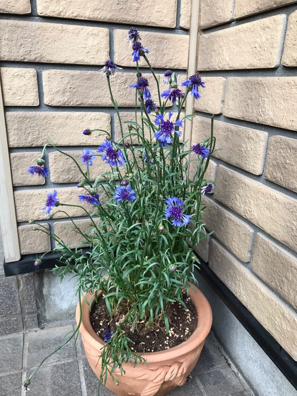 rblog-20190423182202-05.jpg