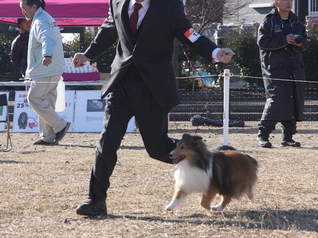 IMG_0507 - コピー.JPG