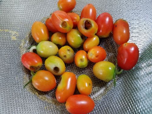 rblog-20180909140349-01.jpg
