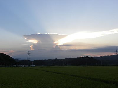 DSCN9752.jpg