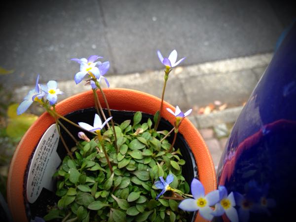 rblog-20141225201942-02.jpg