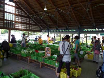 120825_蒜山高原道の駅野菜.jpg