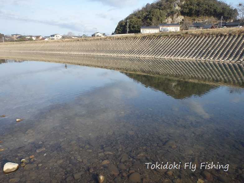 21年02月01日の記事 時々フライフィッシングｅｔｃ 楽天ブログ