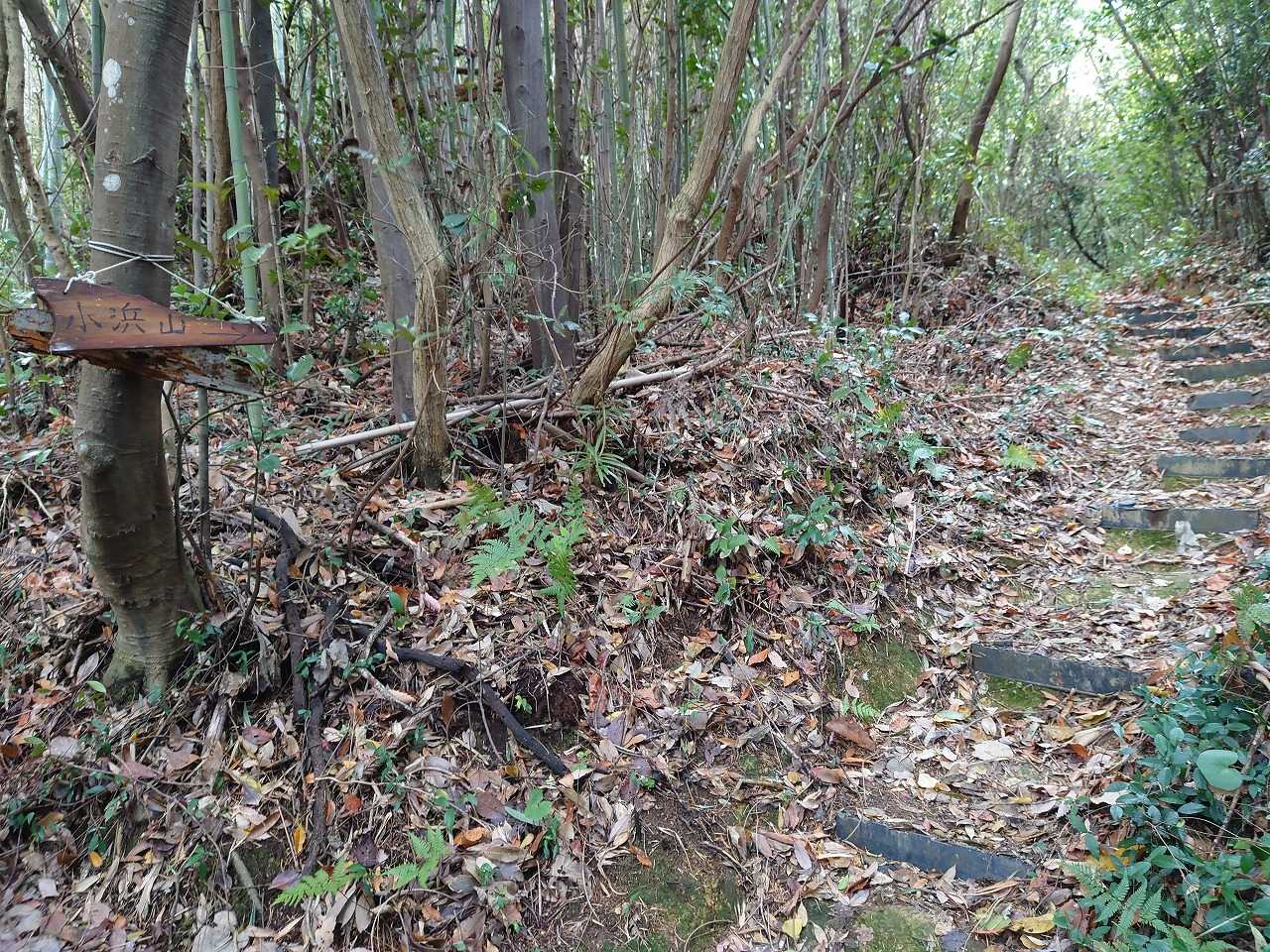12/30/2020 小浜山（山口市秋穂） | 野遊び日記 - 楽天ブログ