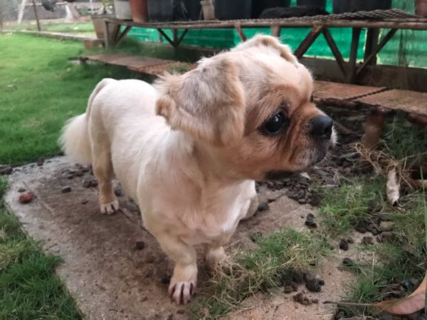 rblog-20190324210814-00.jpg