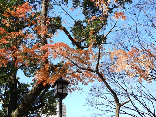 芝公園＆東京タワー