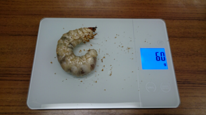 20151102_144654.jpg