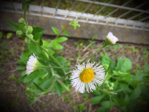 rblog-20160426005907-06.jpg