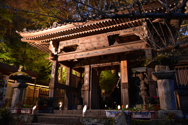 国宝富貴寺　ライトアップ2