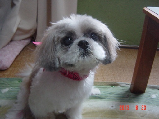 DSC01135~1.JPG