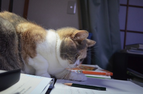 2012.5.5.jya3.jpg