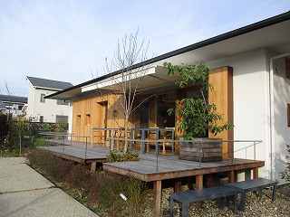 IMG_4334ss.jpg
