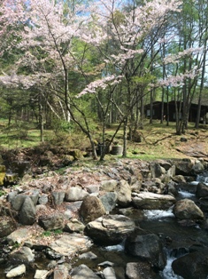 tateshina3.JPG