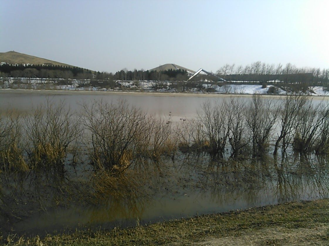 2017年4月のモエレ公園 | 北海道 登山日和 花日和 - 楽天ブログ
