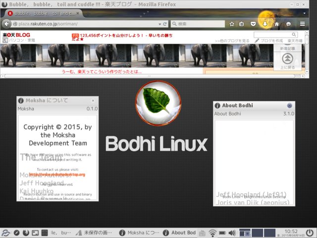 Bodhi Linux 3.1.0のデスクトップ