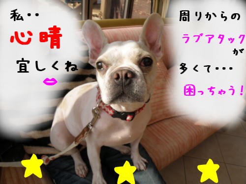 心晴.JPG