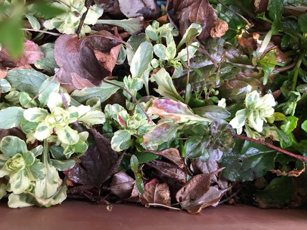 rblog-20190401164627-09.jpg