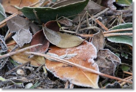 大野湊緑地公園-4 15.1.21