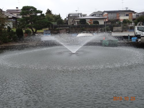 DSC04798_R.JPG
