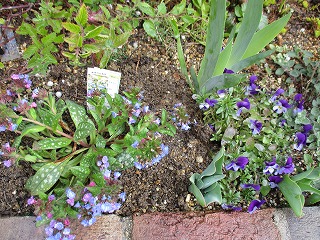 IMG_8079ss.jpg