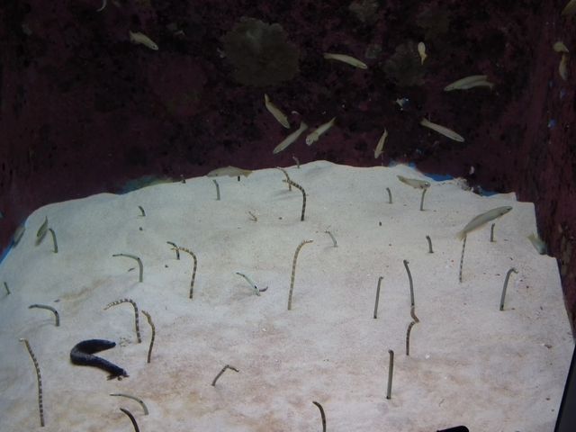 DSCF9184.JPG