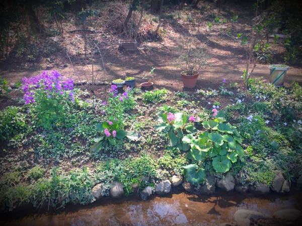 rblog-20160406131936-06.jpg