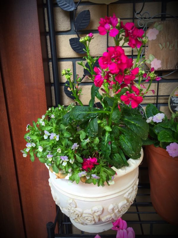 rblog-20160426005610-03.jpg