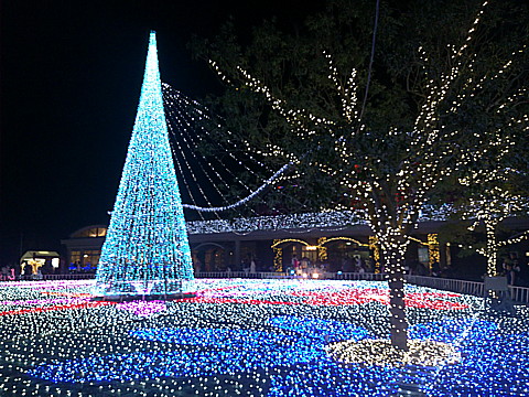 IMG_20161204_182432.jpg