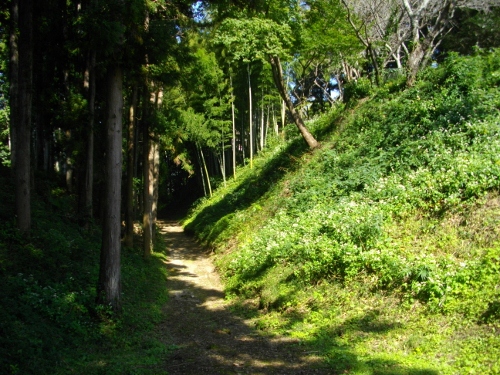 瓜連城土塁 (500x375).jpg