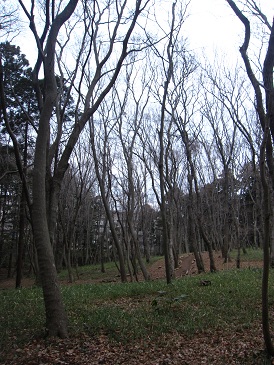 IMG_7867.JPG