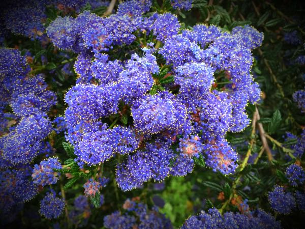 rblog-20160426010130-07.jpg