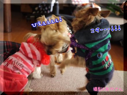 あや３.jpg